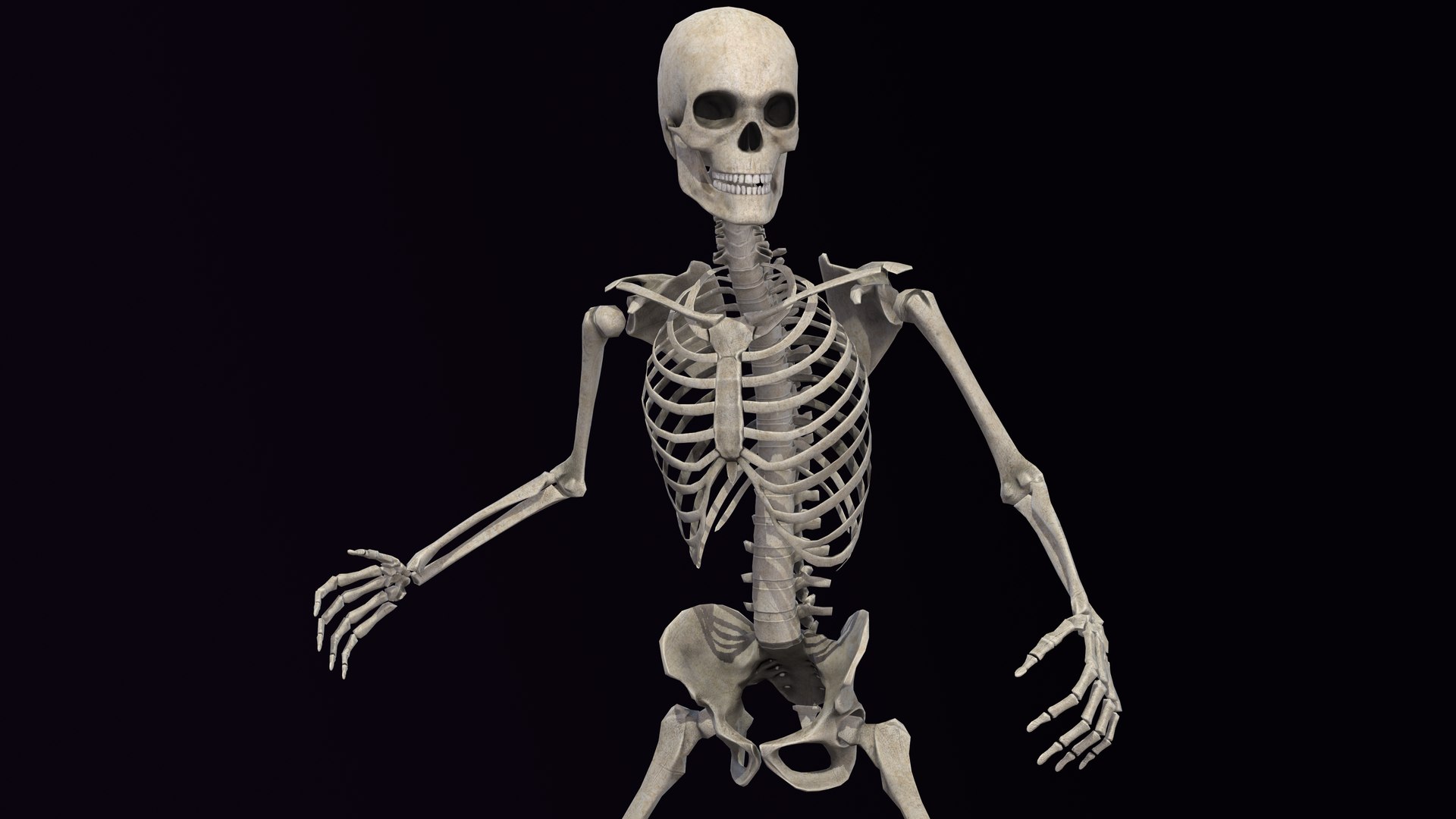 3D Human Skeleton - TurboSquid 2052398