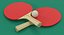 Ping Pong Table with Paddle Generic