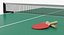 Ping Pong Table with Paddle Generic