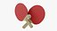 Ping Pong Table with Paddle Generic