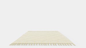 3D model Rectangular rug in woven quality