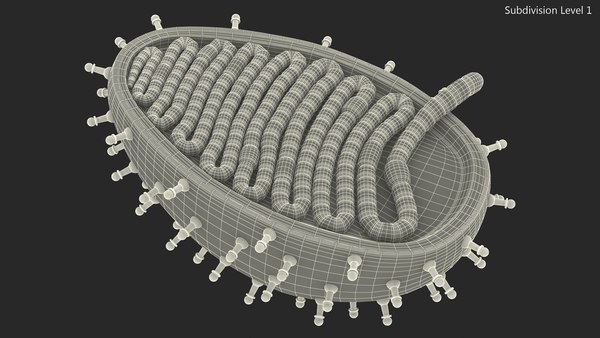 modelo 3d Modelo de plástico del virus de la rabia - TurboSquid 2386277