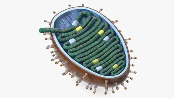 modelo 3d Modelo de plástico del virus de la rabia - TurboSquid 2386277