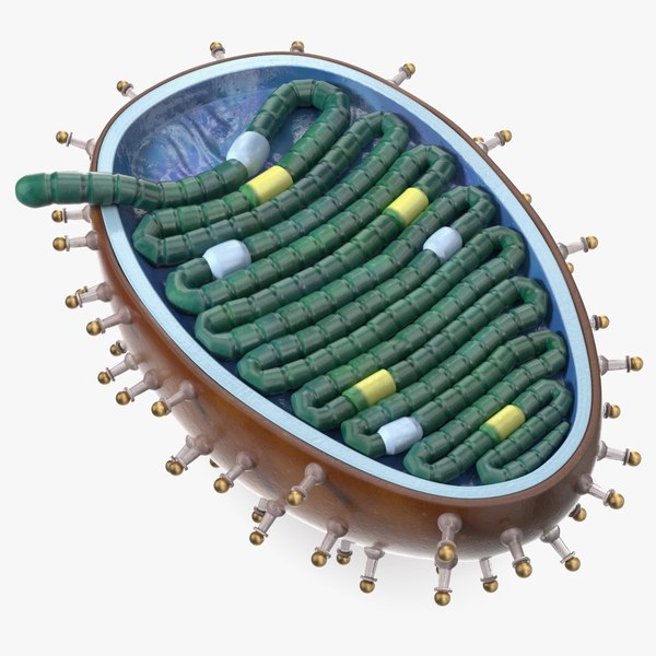modelo 3d Modelo de plástico del virus de la rabia - TurboSquid 2386277