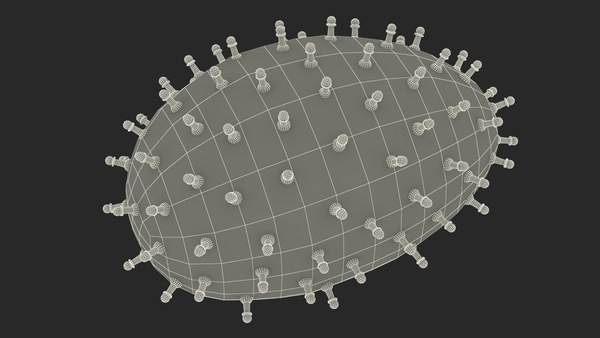 modelo 3d Modelo de plástico del virus de la rabia - TurboSquid 2386277