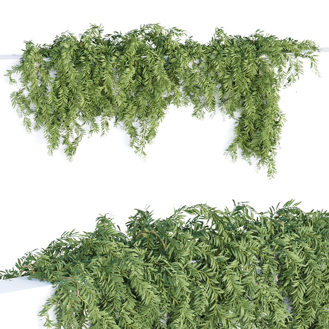 Hanging Wall Ivy Collection Vol 4 3D Models 3D Model - TurboSquid 2001981