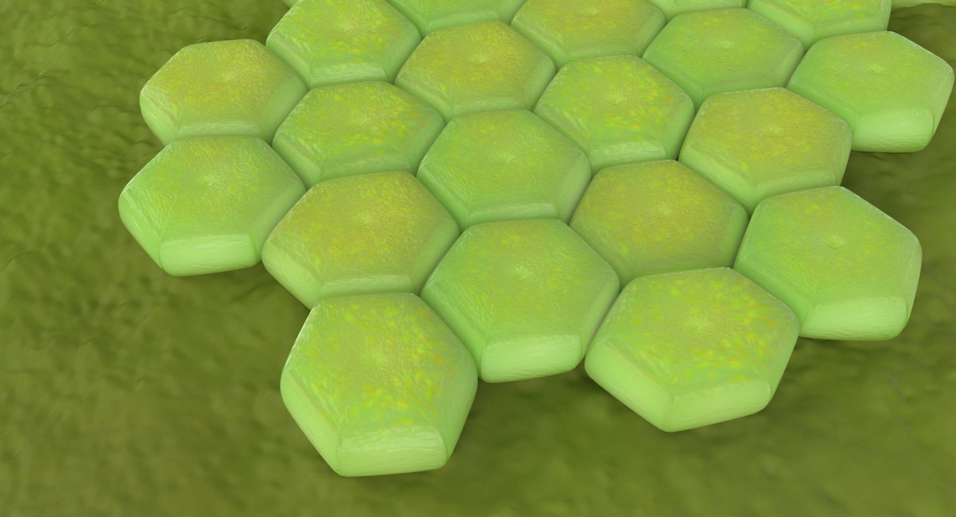 3D model acinetobacter baumannii bacteria https://p.turbosquid.com/ts-thumb/mz/6Quh7p/L0hWkvZ0/acinetobacter_baumannii_bacteria_productshoot_d/jpg/1527562109/1920x1080/fit_q87/7cb5ad78ab8aa1f0b30e8ea09e5c96cf3e5adca7/acinetobacter_baumannii_bacteria_productshoot_d.jpg