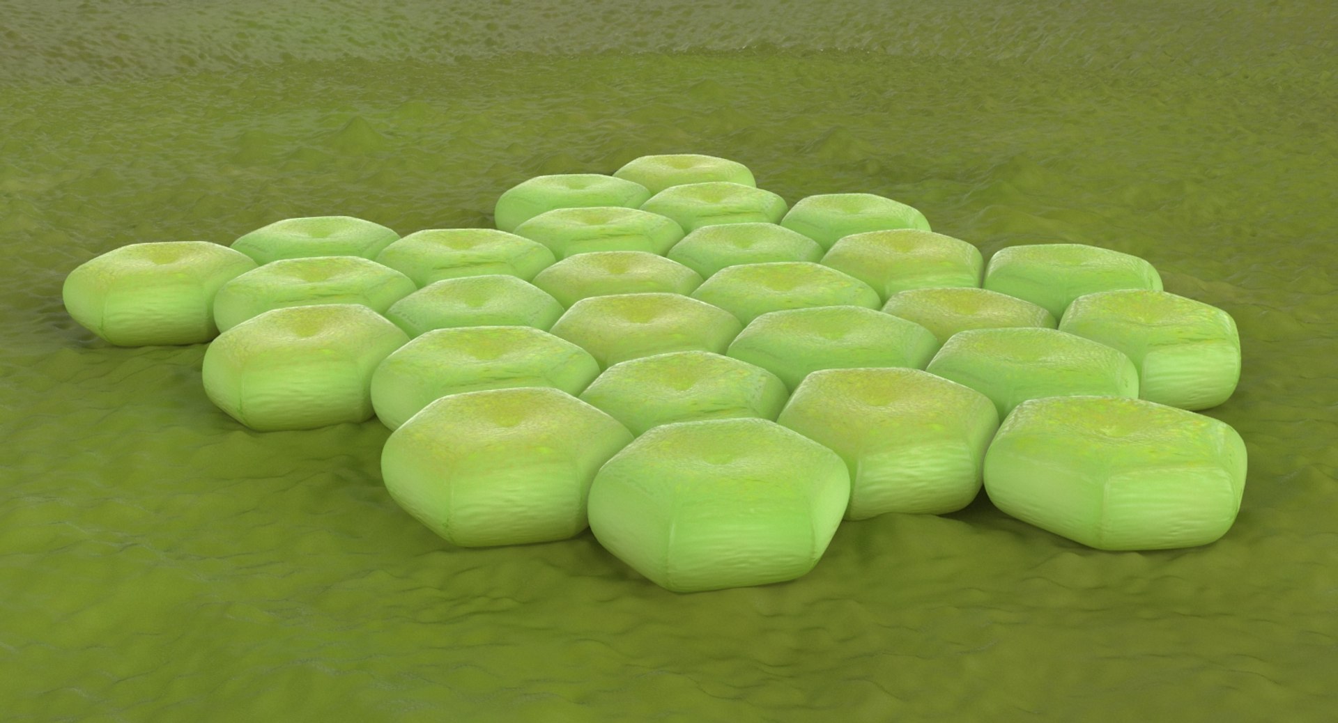 3D model acinetobacter baumannii bacteria https://p.turbosquid.com/ts-thumb/mz/6Quh7p/dhmx3f86/acinetobacter_baumannii_bacteria_productshoot_a/jpg/1527562109/1920x1080/fit_q87/96ec1dd024d2aa65b077da30ee663aaa362ba180/acinetobacter_baumannii_bacteria_productshoot_a.jpg