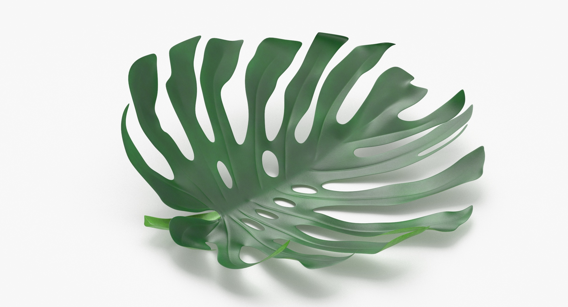 3D Prop01 Palm Leaves Type 02 model https://p.turbosquid.com/ts-thumb/mz/B1eu6Y/3j/z0000/jpg/1698054662/1920x1080/turn_fit_q99/8472ca958cf5fffe5a562c95460b00e363de3d1a/z0000-1.jpg