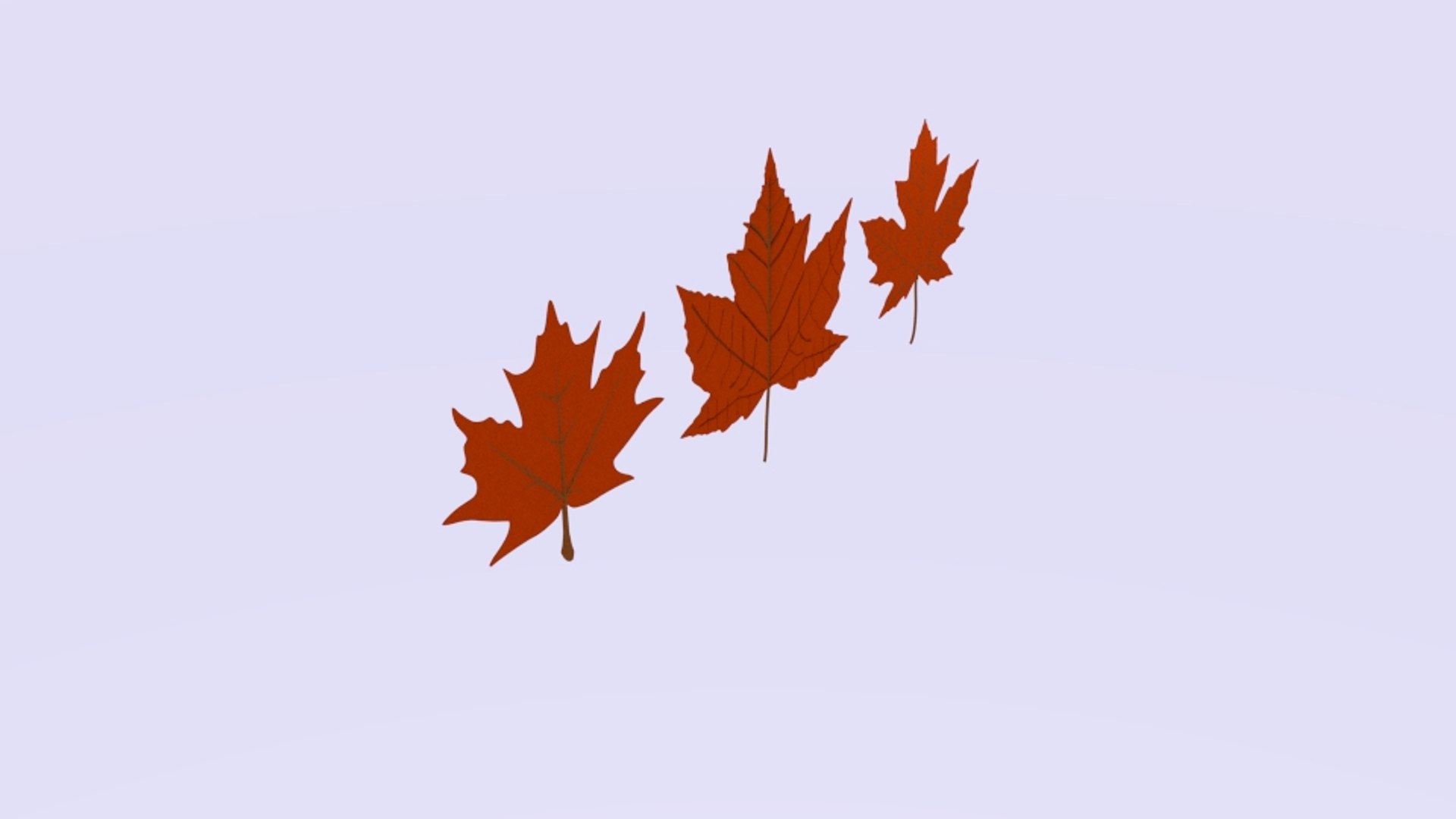 Maple 3D Model | 1144455 | TurboSquid