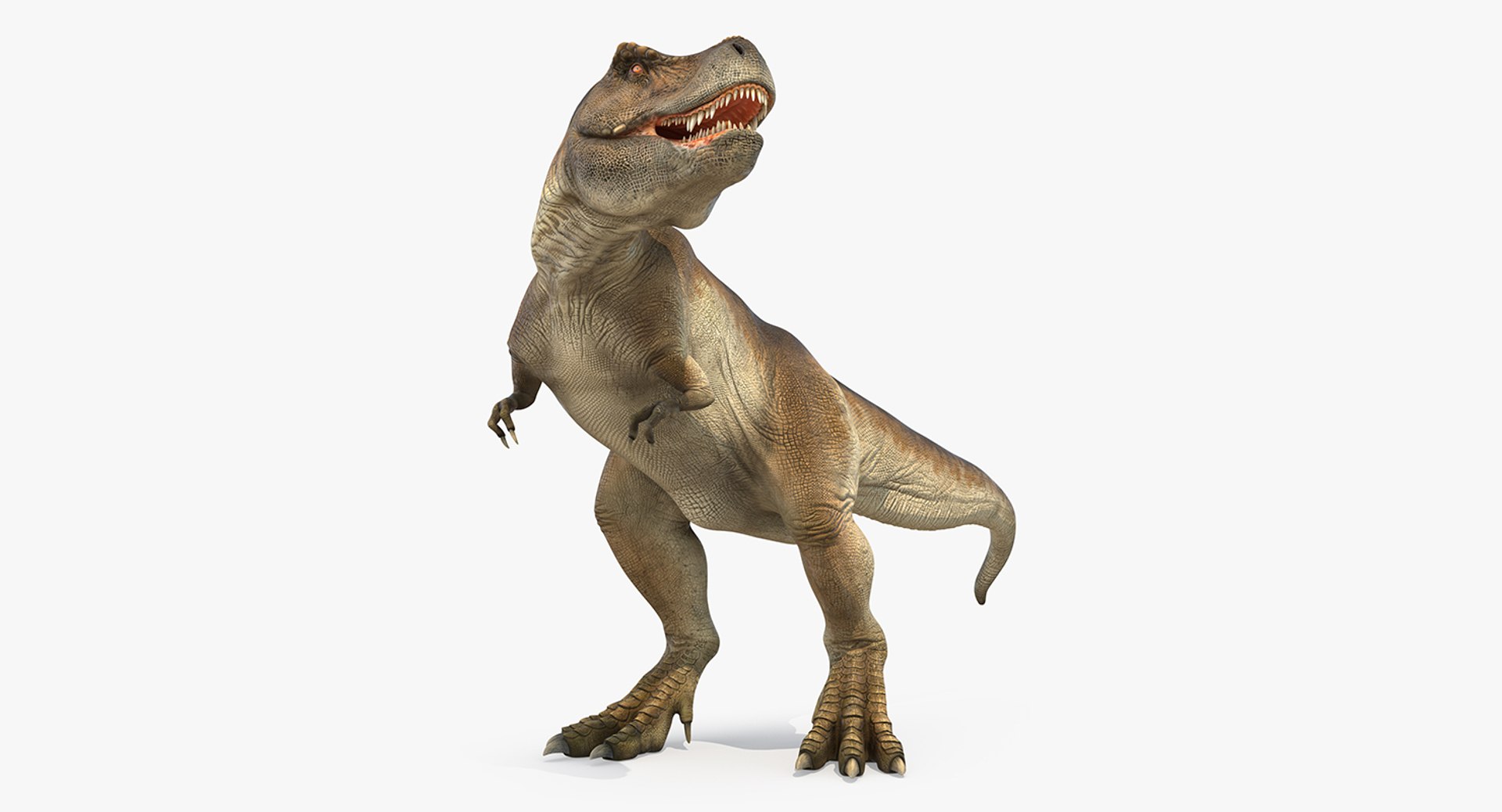 Tyrannosaurus Rex Standing 3D model preview