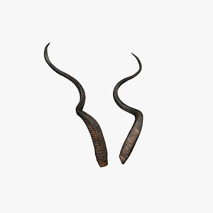 Horn V1