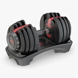 Bowflex SelectTech 552 Adjustable Dumbbells