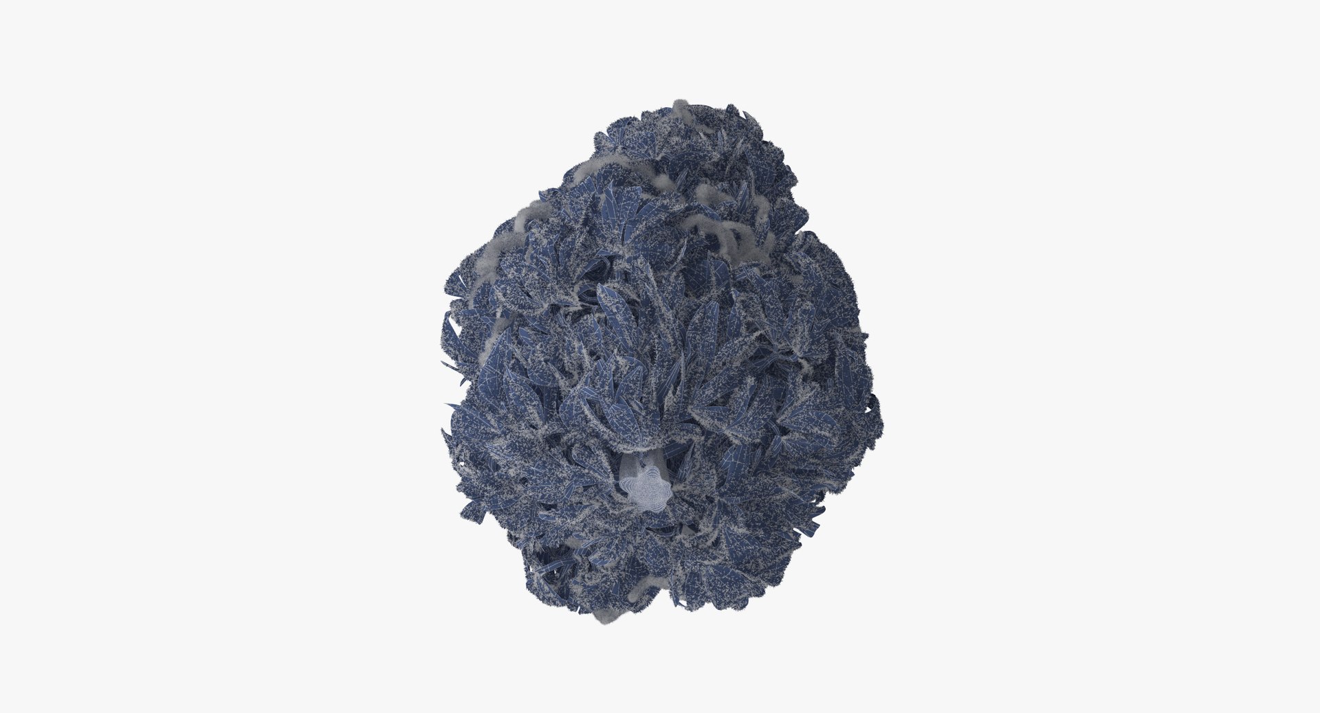 3d marijuana bud 02 model