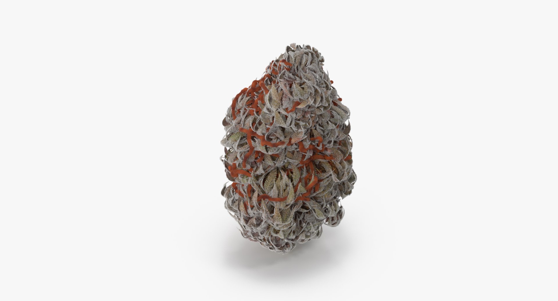 3d Marijuana Bud 02 Model
