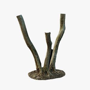 Anydrafts Olea europaea Trunk 03 3D model