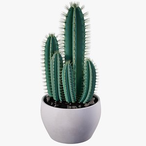 Cacti Cereus 3D model