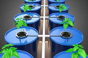 BATO CULTIVATION FRUITS VEGETABLES PLANT HYDROPONIC FARM GARDEN model