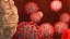 real CORONAVIRUS covid19