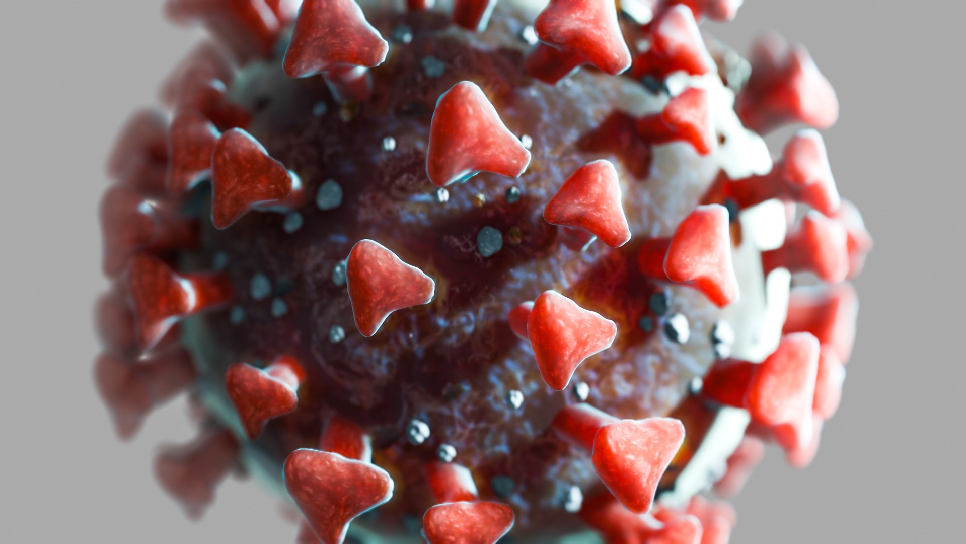 3D model coronavirus covid19 real virus https://p.turbosquid.com/ts-thumb/mz/sQRYto/3JDu7H5a/12/jpg/1587460024/1920x1080/fit_q87/7e3815ad92944e99409e433c946cdb5f61839743/12.jpg
