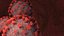 real CORONAVIRUS covid19