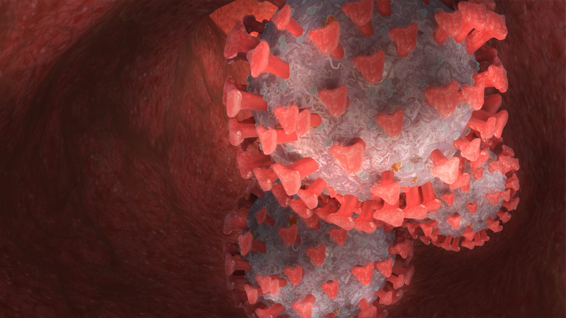 3D model coronavirus covid19 real virus https://p.turbosquid.com/ts-thumb/mz/sQRYto/9rQsDvd9/i/png/1587459967/1920x1080/fit_q87/b2185d216ec6d41cecd8d60c6147cd9db5371bc9/i.jpg