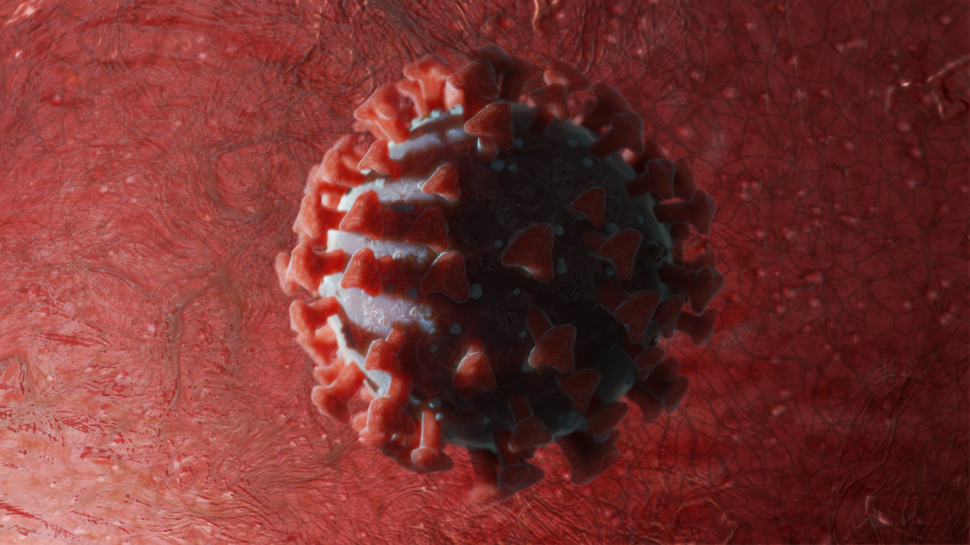 3D model coronavirus covid19 real virus https://p.turbosquid.com/ts-thumb/mz/sQRYto/CYVg1gBI/d/png/1587459967/1920x1080/fit_q87/f93988d29e739157c061d73c3b5d890ca2d15182/d.jpg
