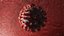 real CORONAVIRUS covid19