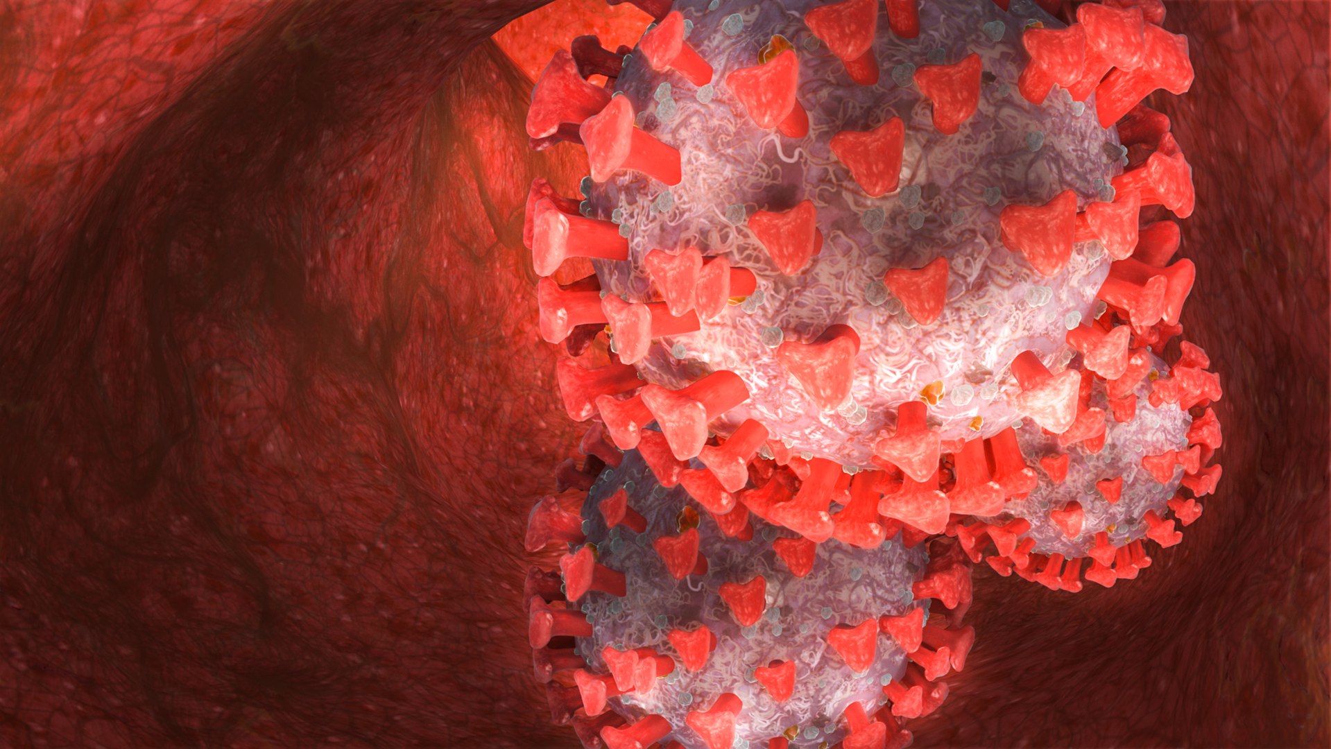 3D model coronavirus covid19 real virus https://p.turbosquid.com/ts-thumb/mz/sQRYto/YoS94f2m/i/jpg/1587460024/1920x1080/fit_q87/0f365da302cb87e2720fab98019236691e7df624/i.jpg