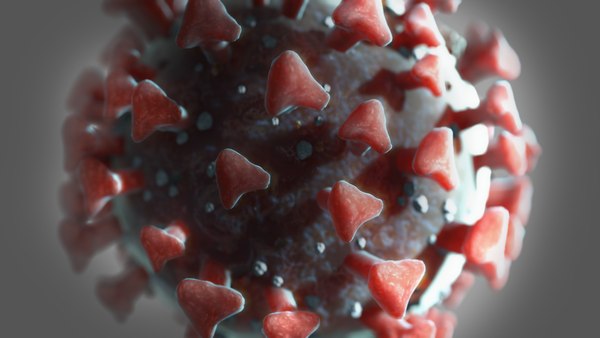 3D model coronavirus covid19 real virus