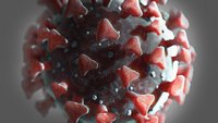 real CORONAVIRUS covid19