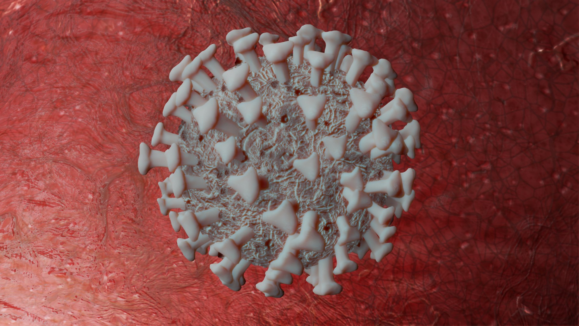 3D model coronavirus covid19 real virus https://p.turbosquid.com/ts-thumb/mz/sQRYto/cxHE9VAO/c/png/1587459967/1920x1080/fit_q87/637ee04d2fa8c33fb32efa0e58e63602c6487b20/c.jpg