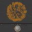 real CORONAVIRUS covid19