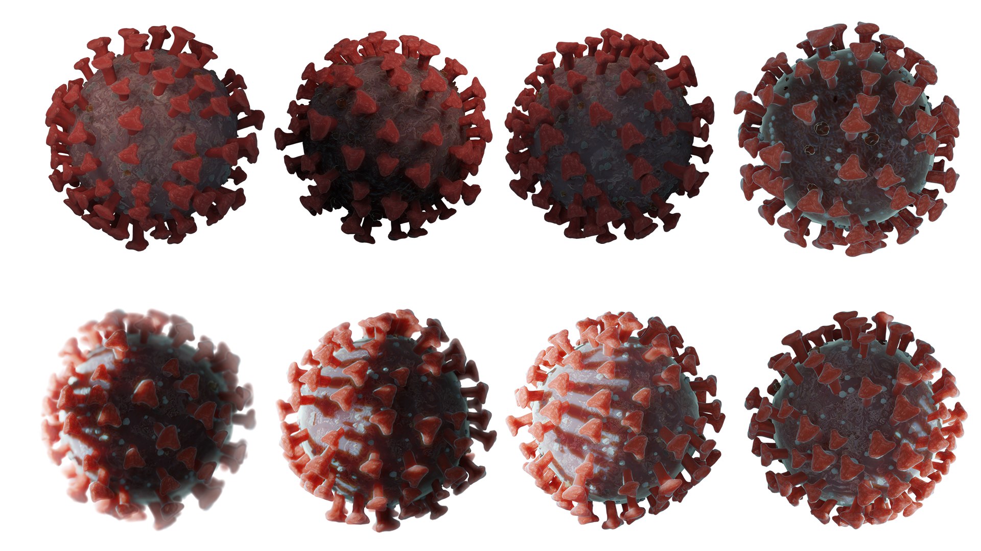 3D model coronavirus covid19 real virus https://p.turbosquid.com/ts-thumb/mz/sQRYto/xus0ibhG/t/png/1587459967/1920x1080/fit_q87/73a197a5dc9a6911f22c7b8f7e69a1e6d4c08128/t.jpg