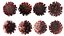 real CORONAVIRUS covid19