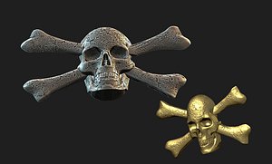pirat emblemm model