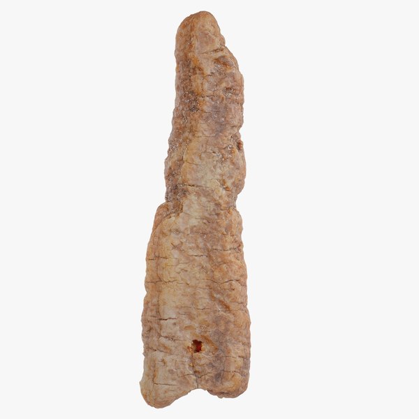 modelo 3d Abedul Betula Big Wood 05 - TurboSquid 2507236