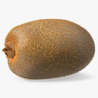 Tropical Fruit Kiwi with Fur