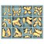 Box With Wooden Animals Toys