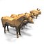 Box With Wooden Animals Toys