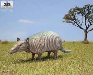 Mighty the Armadillo - Download Free 3D model by Detexki99 (@detexki)  [0681cb9]