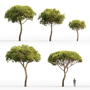 3D model trees 4