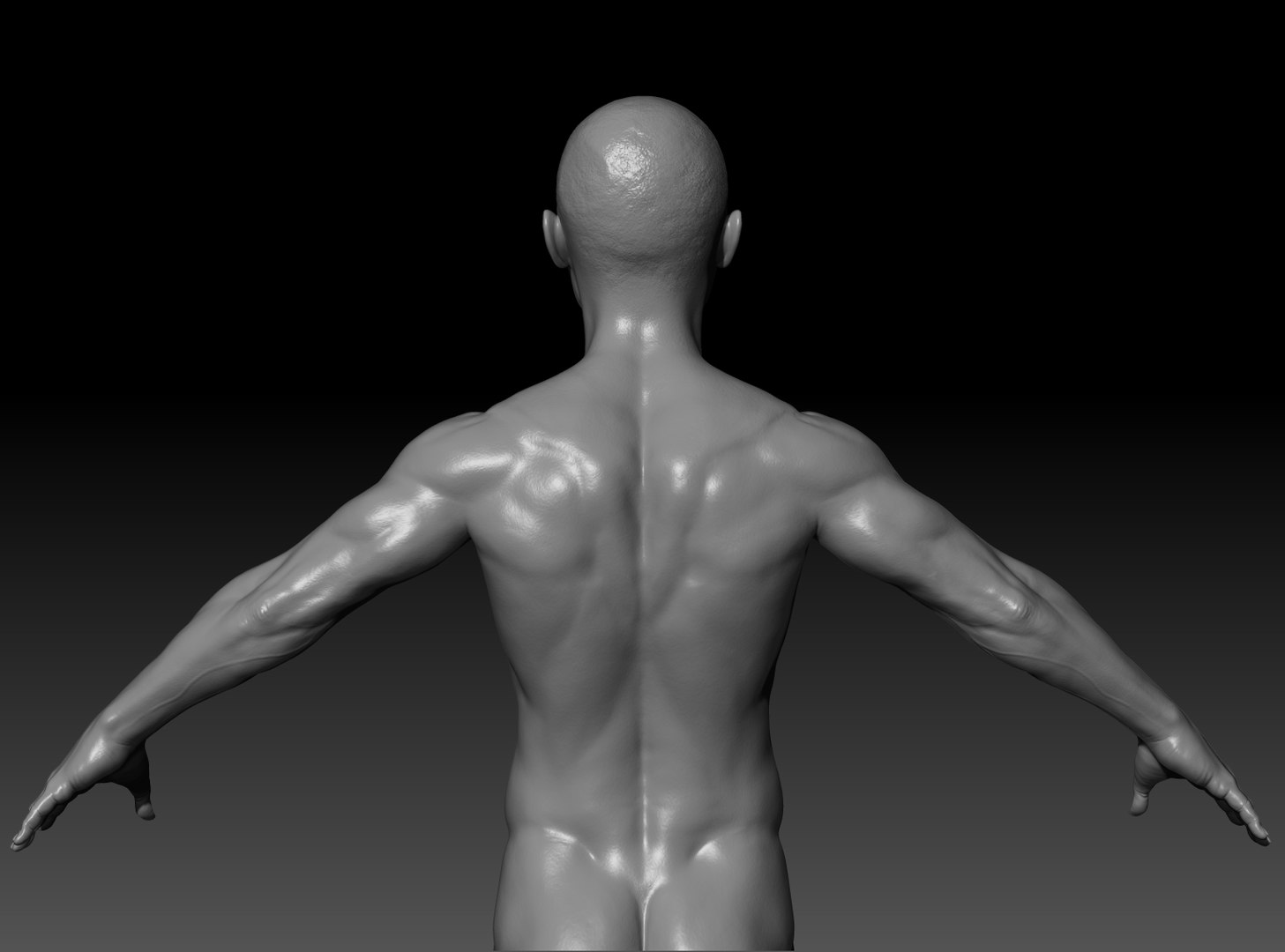 3D human asian body anatomy - TurboSquid 1595273