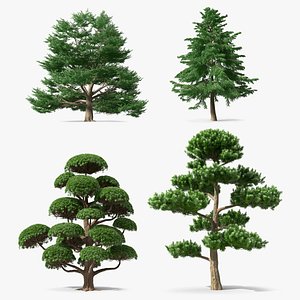 3D Evergreen Trees Collection model