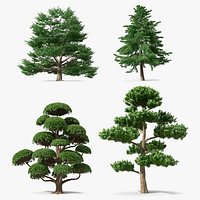 Evergreen Trees Collection