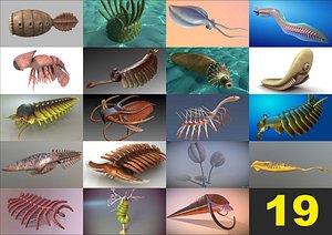 cambrian animals 19 in 1 collection