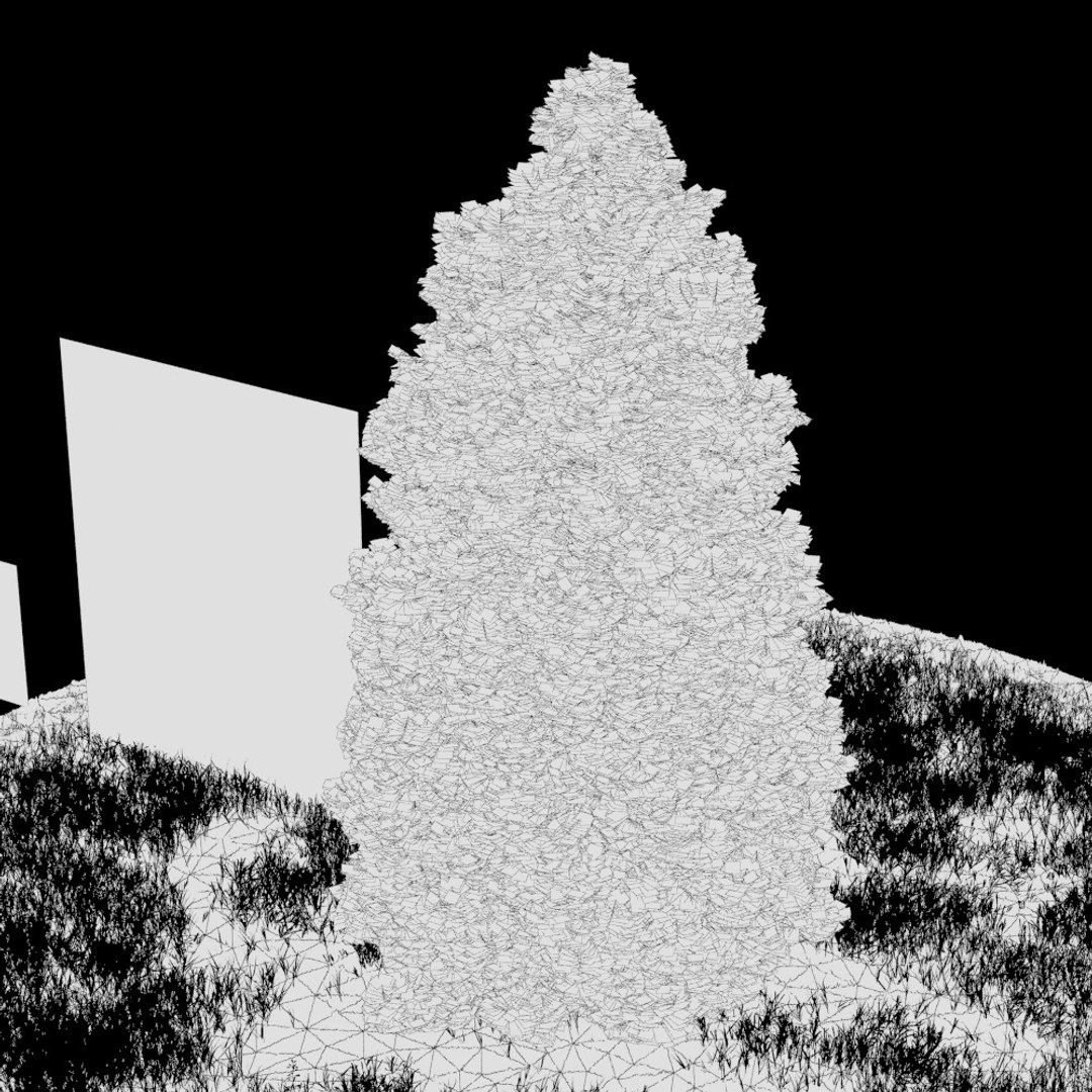 Realistic Thuja Tree 3d Model
