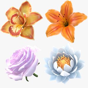 3D Flowers Collection – Orchids Roses Nymphaea Lilies