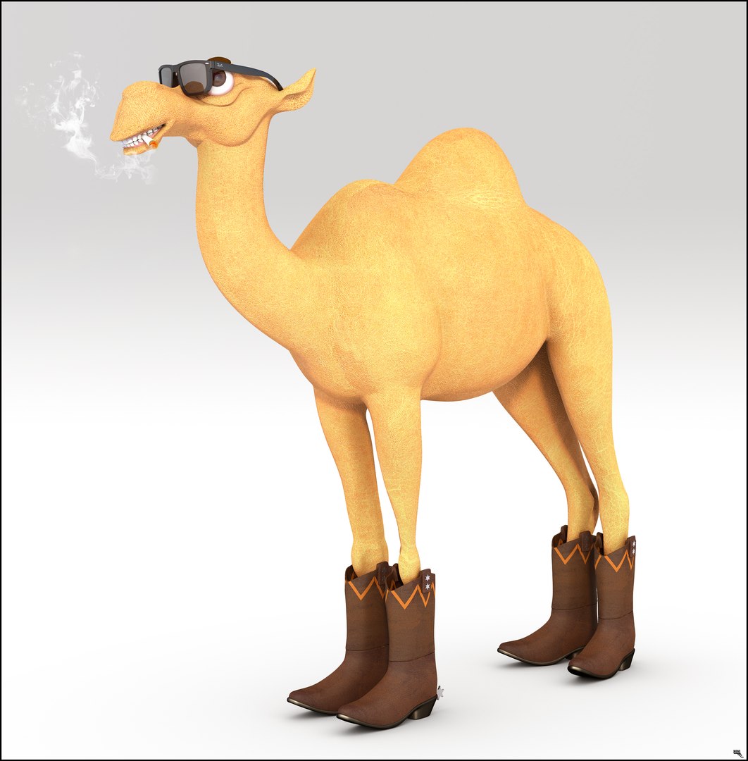 Dromedary boots 2024