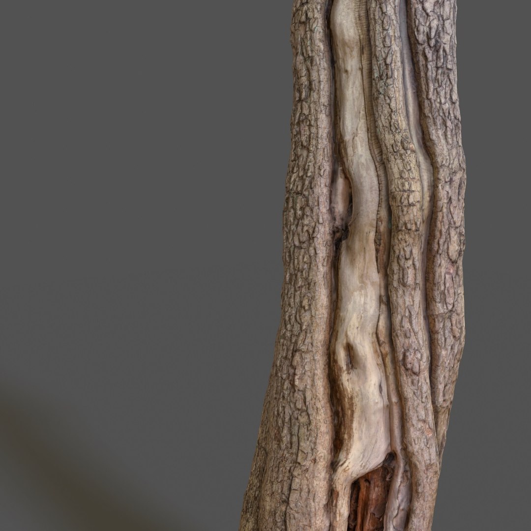 Tree Asset Obj